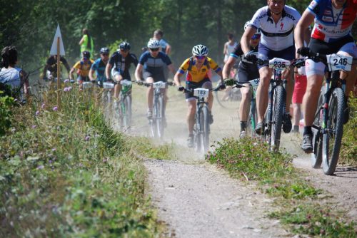 DSC_0001-Morksuggejakten-2016-374