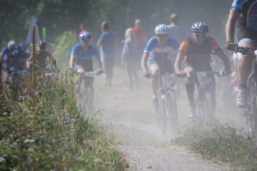DSC_0001-Morksuggejakten-2016-421