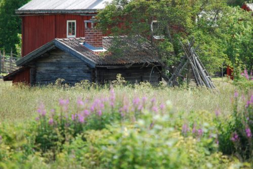 DSC_0001-Morksuggejakten-2016-427