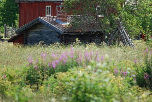 DSC_0001-Morksuggejakten-2016-428