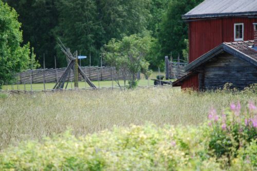 DSC_0001-Morksuggejakten-2016-429
