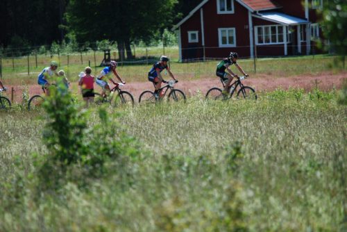 DSC_0001-Morksuggejakten-2016-451