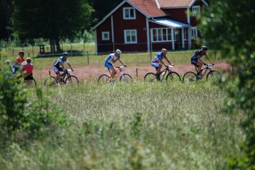 DSC_0001-Morksuggejakten-2016-452