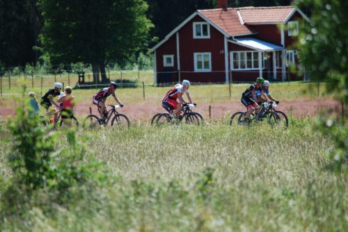 DSC_0001-Morksuggejakten-2016-461