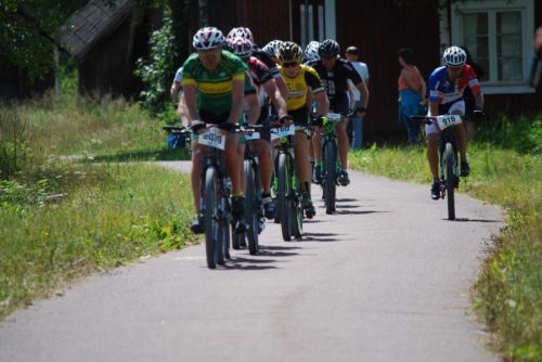 DSC_0001-Morksuggejakten-2016-486