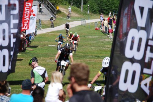 DSC_0001-Morksuggejakten-2016-583